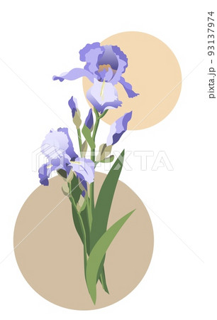 Vector illustration of blue iris flowers bouquet with leaves and stems. Isolated on white background 93137974