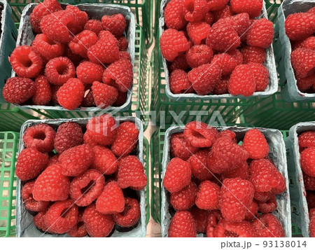 ラズベリー 93138014