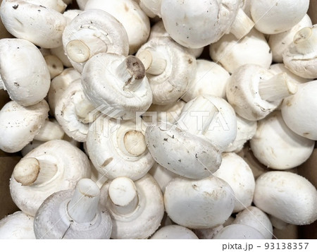 ホワイトマッシュルーム ホワイトマッシュルーム 93138357