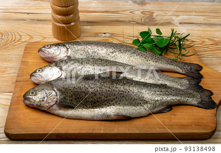 Raw Trout Isolated 93138498