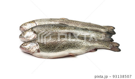 Raw Trout Isolated 93138507