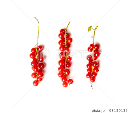 Red Currant Pile Isolated Red Currant Pile Isolated 93139135