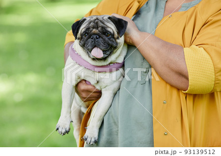 Woman Holding Cute Dog Closeup Woman Holding Cute Dog Closeup 93139512