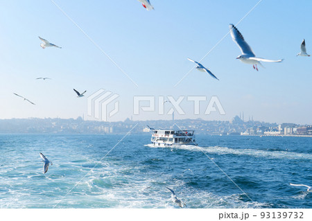 Skyline of Istanbul, Turkey 93139732