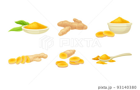 Turmeric or Curcuma Longa Rhizomes Cut Into Slices and in Powder Vector Set 93140380