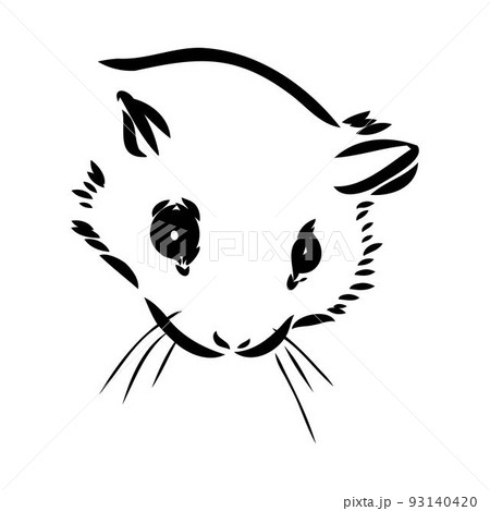 illustration vector hand draw doodles of flying squirrel or Pteromyini or Petauristini isolated on white background 93140420