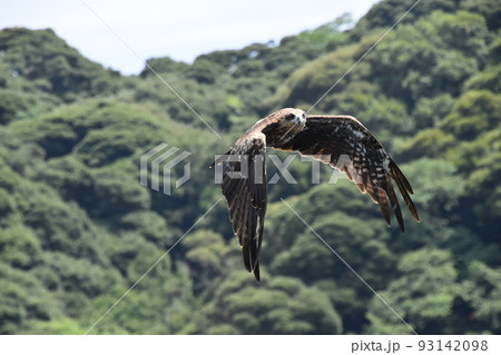 京都府伊根町 京都府伊根町 93142098