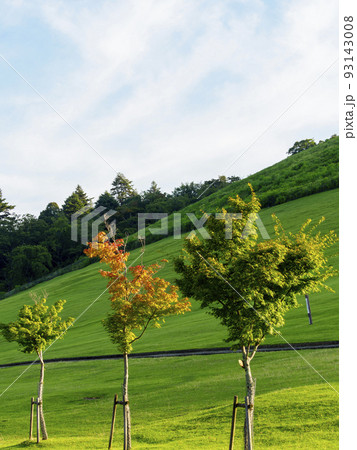 早朝の若草山の風景 93143008
