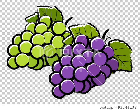 Grapes _ brush writing 93143138