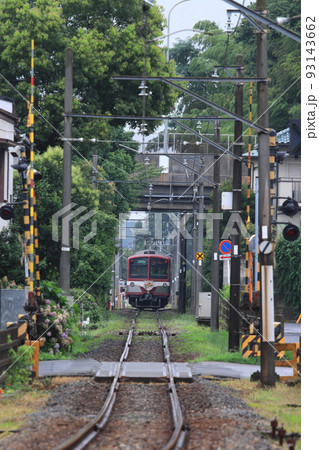 林を抜けてやってくる流鉄流山線5000形電車「流星」号_2022/7/16撮影 林を抜けてやってくる流鉄流山線5000形電車「流星」号_2022/7/16撮影 93143662