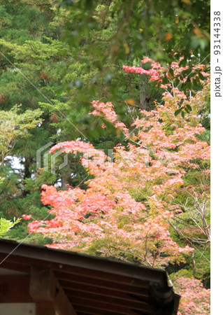 元伊勢内宮 天岩戸神社 元伊勢内宮 天岩戸神社 93144338