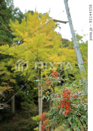 元伊勢内宮　天岩戸神社 93144356