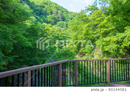 吾妻峡　ダム下展望スポットからの眺め　八ッ場ダム　初夏の風景　　　 93144561