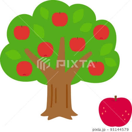 実がついたリンゴの木 93144579