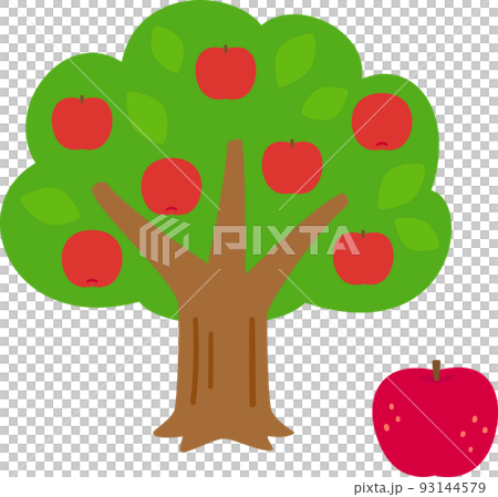 実がついたリンゴの木 93144579