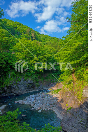 吾妻峡　ダム下展望スポットからの眺め　八ッ場ダム　初夏の風景　　　 93144859