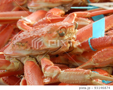 タグの付いたブランドズワイガニ タグの付いたブランドズワイガニ 93146874