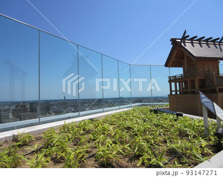 光と陰の中で 腕を組んでいる~♪ 光と陰の中で 腕を組んでいる~♪ 93147271