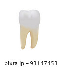Molar teeth on white background 93147453