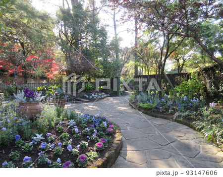 秋の散歩 93147606