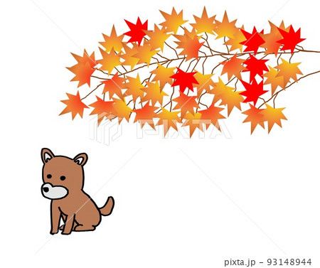 絵 題   犬と紅葉 犬と紅葉のイラスト素材 [93148944] - PIXTA