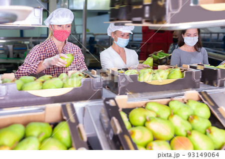 Positive workers in protective masks sort pears Positive workers in protective masks sort pears 93149064