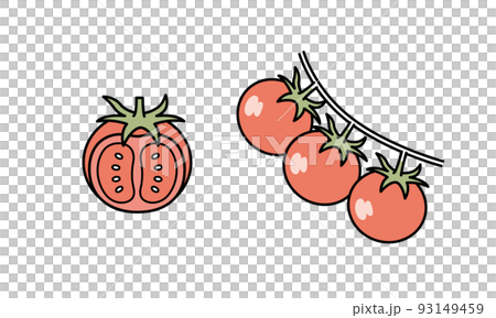 Illustration material of mini tomato. Illustration material of mini tomato. 93149459