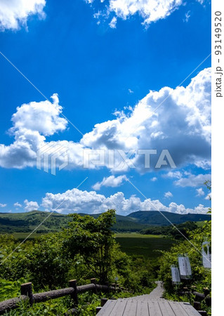 <長野>八島湿原に伸びる木道 <長野>八島湿原に伸びる木道 93149520