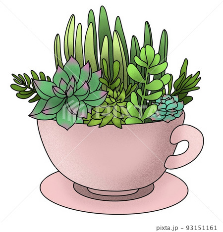 flat style illustration of succulent garden in a mug, flowers growing in cup shape pot. home gardening, trendy green plants composition flat style illustration of succulent garden in a mug, flowers growing in cup shape pot. home gardening, trendy green plants composition 93151161