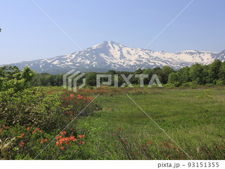 鳥海山の春 93151355