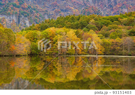 霊験あらたか信州戸隠の秋　紅葉の鏡池 93151403