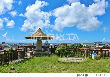 山巓毛(サンティンモー) 山巓毛(サンティンモー) 93151648