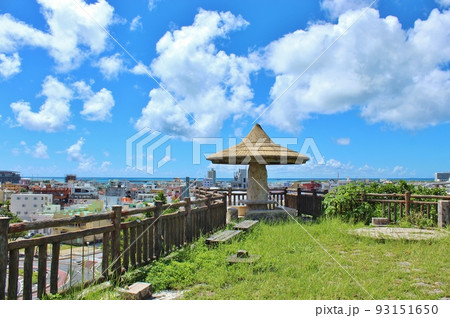 山巓毛(サンティンモー) 山巓毛(サンティンモー) 93151650