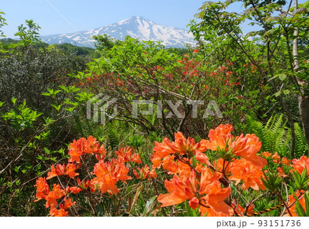 鳥海山の春 鳥海山の春 93151736
