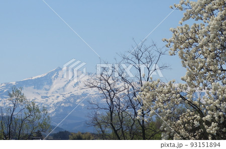 鳥海山の春 鳥海山の春 93151894