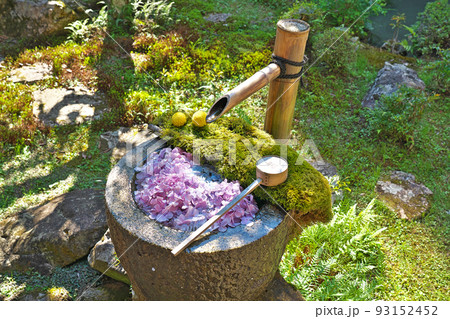 【柳谷観音 楊谷寺 (花手水)】 京都府長岡京市浄土谷堂ノ谷 93152452