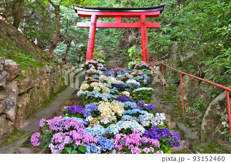 【柳谷観音 楊谷寺】 京都府長岡京市浄土谷堂ノ谷 93152460