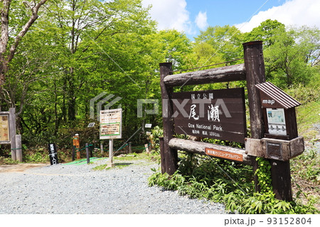 新緑の尾瀬 93152804