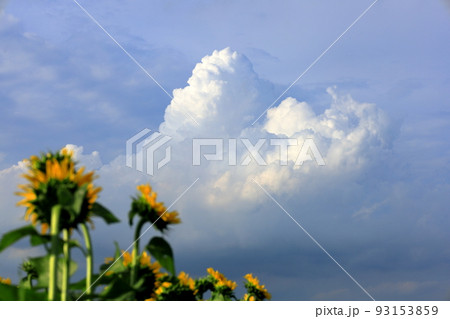 夏の雲 93153859