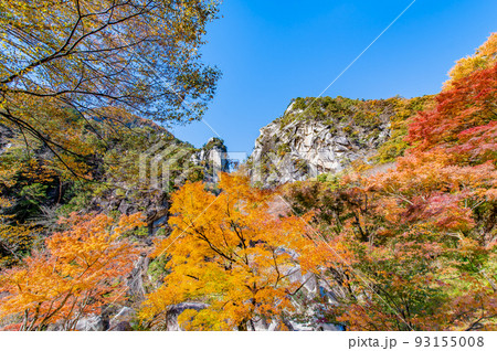 山梨県 紅葉に染まる昇仙峡 ~覚円峰~ 山梨県 紅葉に染まる昇仙峡 ~覚円峰~ 93155008