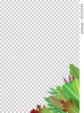 各種嫩葉、沙拉蔬菜和生菜的背景材料插圖。右下角。 各種嫩葉、沙拉蔬菜和生菜的背景材料插圖。右下角。 93155744