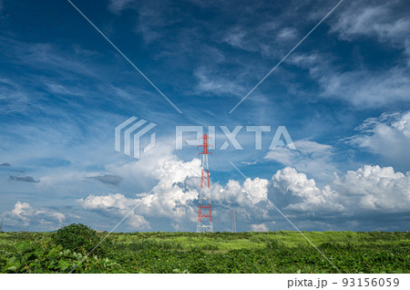 淀川河川公園から見上げる夏の空 93156059