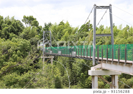堺 緑のミュージアム ハーベストの丘にある吊り橋 堺 緑のミュージアム ハーベストの丘にある吊り橋 93156288
