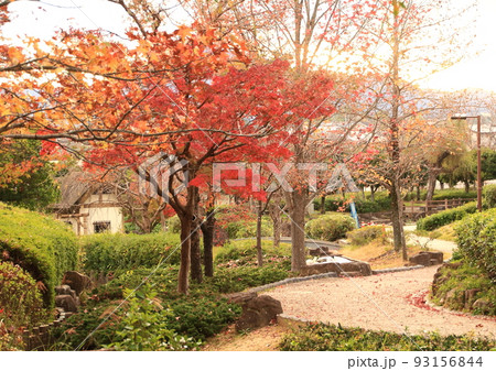 紅葉か進む公園の遊歩道 93156844