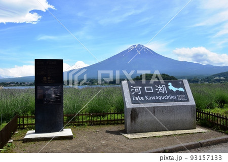 富士河口湖町　大石公園の河口湖案内石碑とラベンダー畑と富士山 93157133