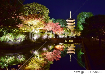 秋の京都 東寺 紅葉ライトアップ 秋の京都 東寺 紅葉ライトアップ 93158680