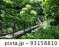 高尾山　四号路（吊り橋コース）　みやまばし 93158810