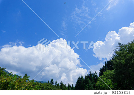真夏の入道雲 真夏の入道雲 93158812