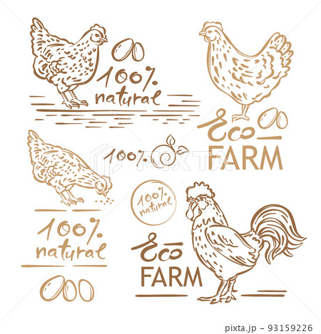 Farm poultry drawing cock chicken icons colored cartoon ai eps vector   UIDownload