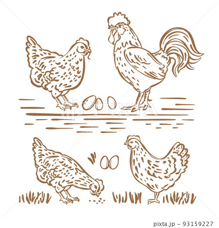 Farm and poultry hand drawn vector Vectors graphic art designs in editable  ai eps svg cdr format free and easy download unlimit id585600